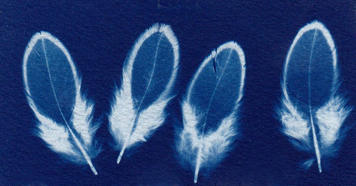 light-as-feather